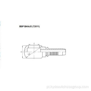 BSP Banjo Fittings 72011